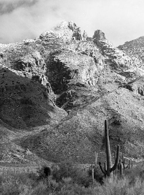 Snow in Tucson